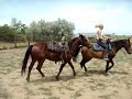 More of Lakota getting ponied after he's caught on to it.