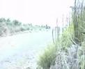 Tasmanian Hellyer Rally 2008 - Stage 11