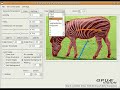 Realtime Interactive Segmentation (Zebra)