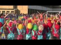 Ver Video