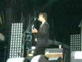 entr-e-babyshambles-