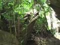 Cave Exploration at Pahang Malaysia