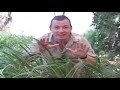 hilarious spoof video of the bear grylls hit tv show man vs. wild . this was a alot of fun to make.