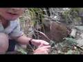 Man Vs. Wild - spoof with Bear Poot