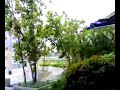 Front of Trinoma West