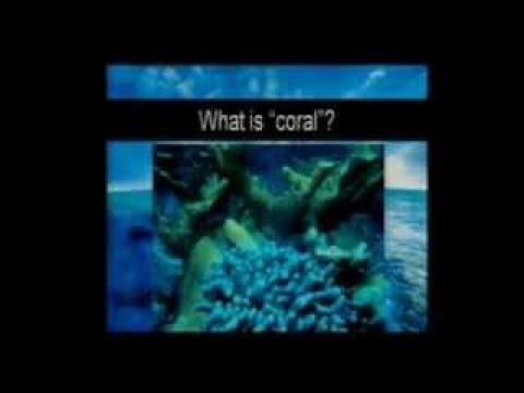 Coral Reefs and the Global Flood – Dr. Robert Carter