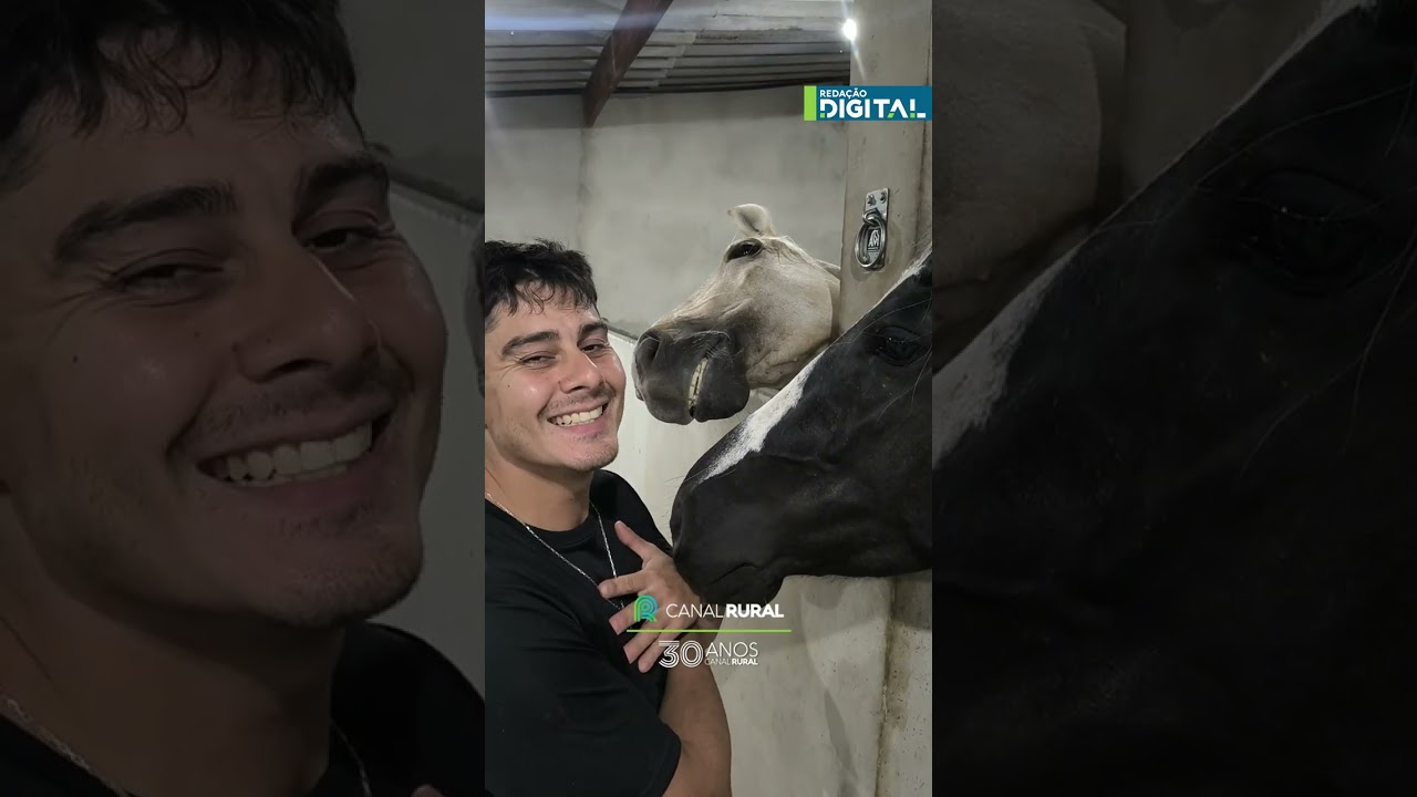 Cavalos aparecem tranquilos e "sorridentes" ao lado do tutor