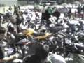 videos de Contra el Chaleco02.3gp