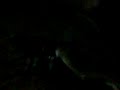 MOV01540