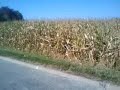le poulin 2
