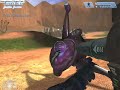 halo multiplayer