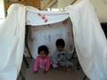 videos de Tent