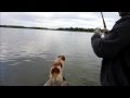peche a coteau-du-lac( brochet) - YouTube