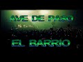 Ave de Paso (Directo) - El Barrio