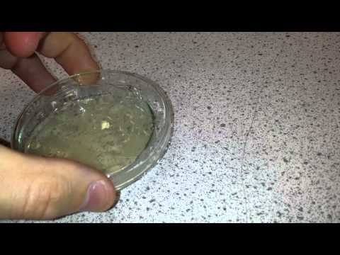 how to isolate spore forming bacteria from soil