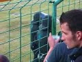 Rot Weiss Erfurt vs. Carl Zeiss Jena