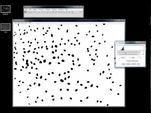How to count cells using ImageJ