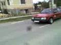 videos de Aleko