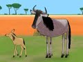 2d/flash and celaction animation showreel. contact tigerjones2002@yahoo.com