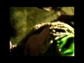 qawliya dance