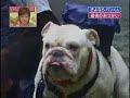 Pankun & James Last Episode 2/2