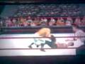 videos de Ankle Lock