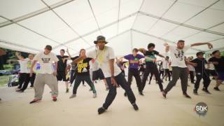 Nelson – SDK EUROPE 2016
