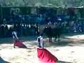 videos de Plaza Perla del Istmo, Torero Gitanillo
