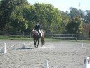 videos de Purple Storm Intro Dressage Test A