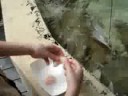 kids at the zoo