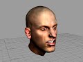 Motion Capture Face
