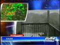 YouTube - All clips of my weather video on channel 8