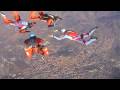 videos de SKYDIVE TORTUGA lanci del 03-04/01/2008 HoDios Cinzia&Gughi song