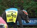 elephant world cup 2006 thailand