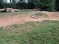 RC Sprung RC Sprung