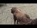 cojida de paquito