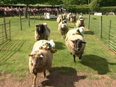 grand national betting