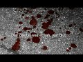 Buchtrailer Werner Köhler: Crinellis kalter Schatten