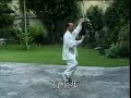Wu(Hao) Taichi 96