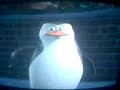pinguinos de madagascar