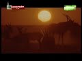 Enai ella Thunai ella - voice of is islam kayalpatnam Enai ella Thunai ella - voice of is islam kayalpatnam