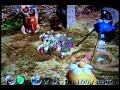 pikmin texture hack (red=green yellow=black blue=purple)