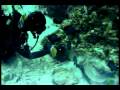 videos de CoralRock GI 281108