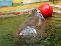 National Zoo