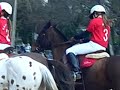 horse ball cazaux vs lacanau horse ball cazaux vs lacanau