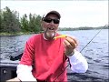 Subtle, Softbait Walleye Subtle, Softbait Walleye
