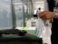 成田国際空港・手荷物検査へ（注意事項）・・・検査中