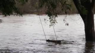 Latest storm tests Madera County
