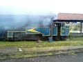 Steaming beauty.3gp