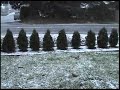 Freak Hail Storm in the Spring: Seattle